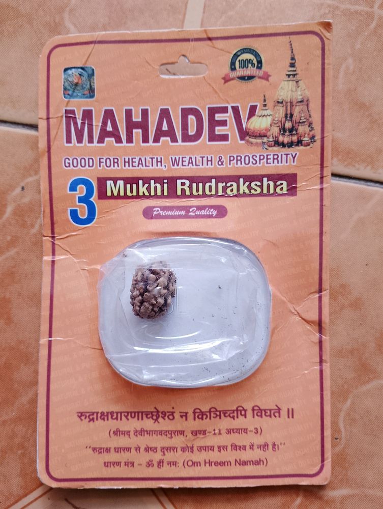 3 Mukhi Rudraksha Original Lab Taste