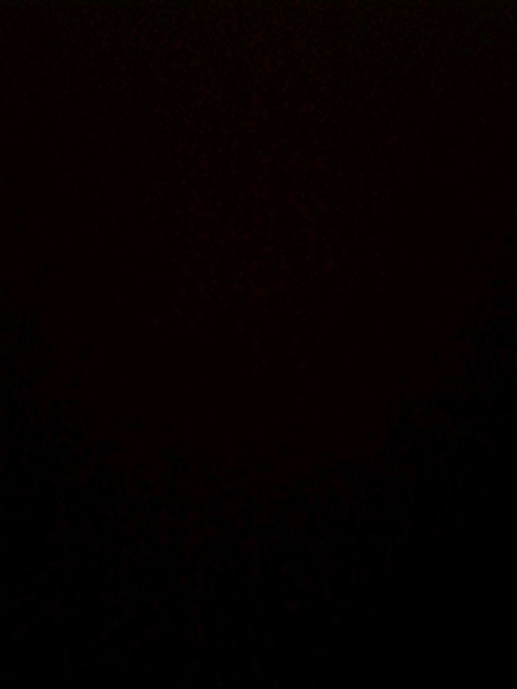 Test Duppatta 1