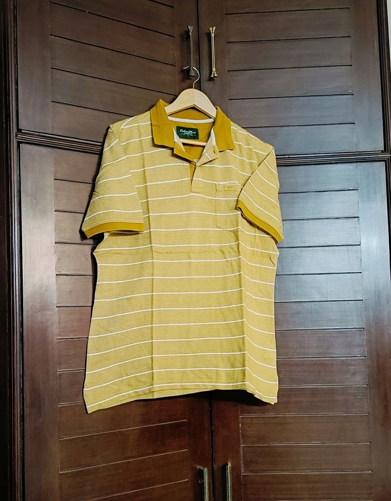 COLORPLUS Men Striped Tailored Fit Polo T-shirt