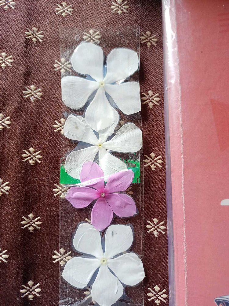 Flower Book Mrak🌺