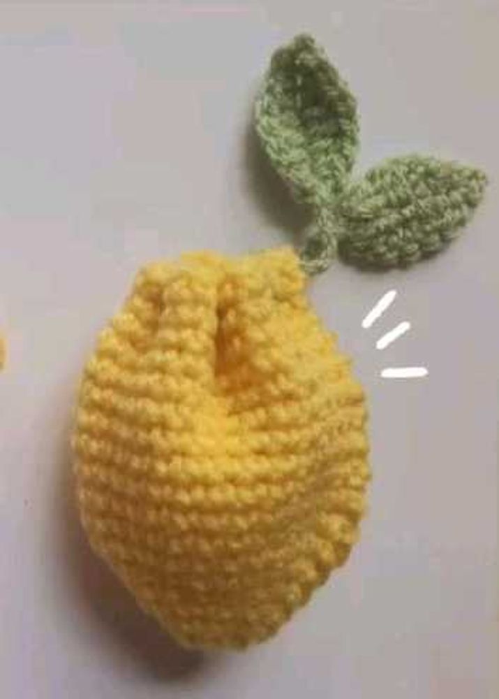 Crocheted Lemon Pouch