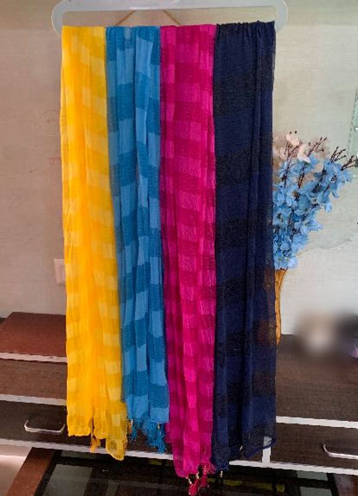 Set of 4 Vibrant Dupattas