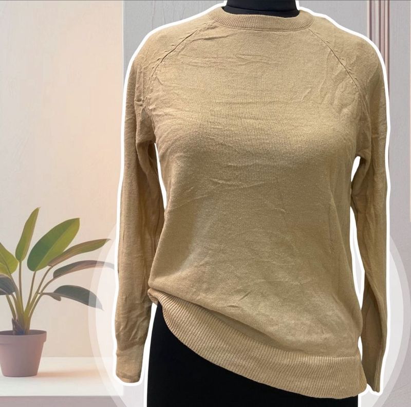 Light Brown Top Trending