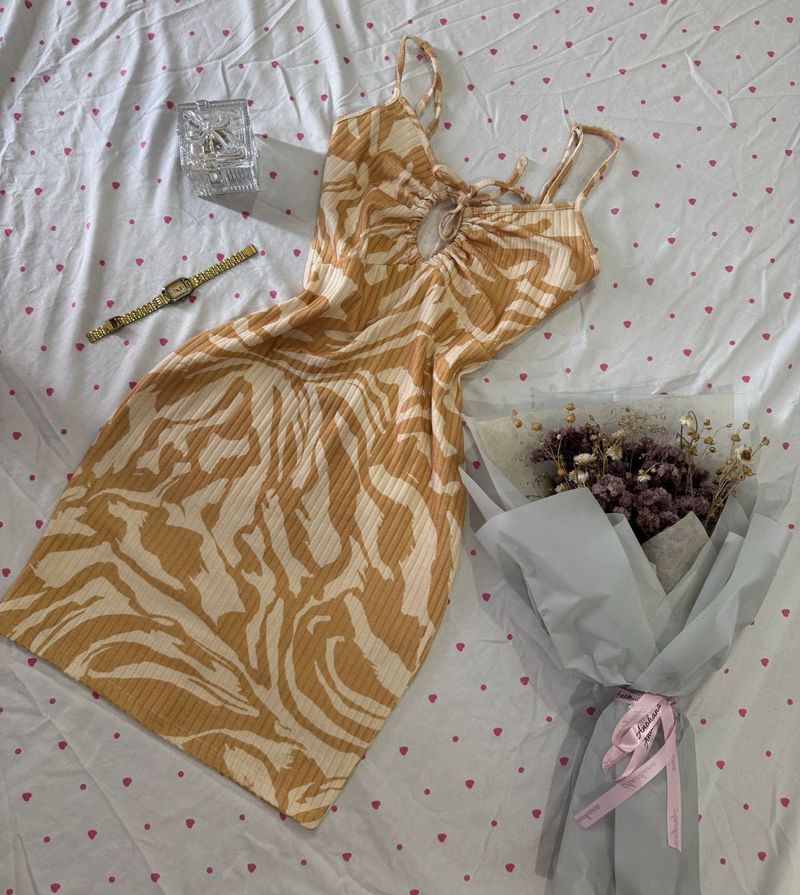 H&amp;M Zebra Print Mini Dress