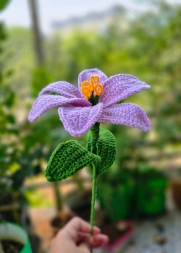 Handmade Crochet lily Flower