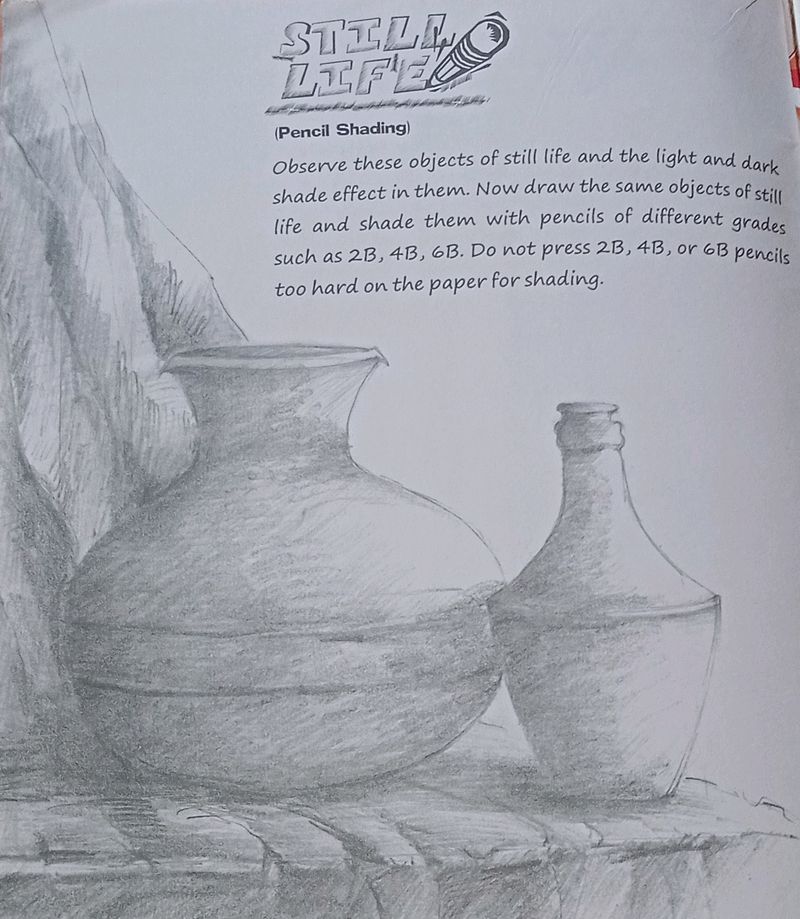 Still Life Shade Drawing
