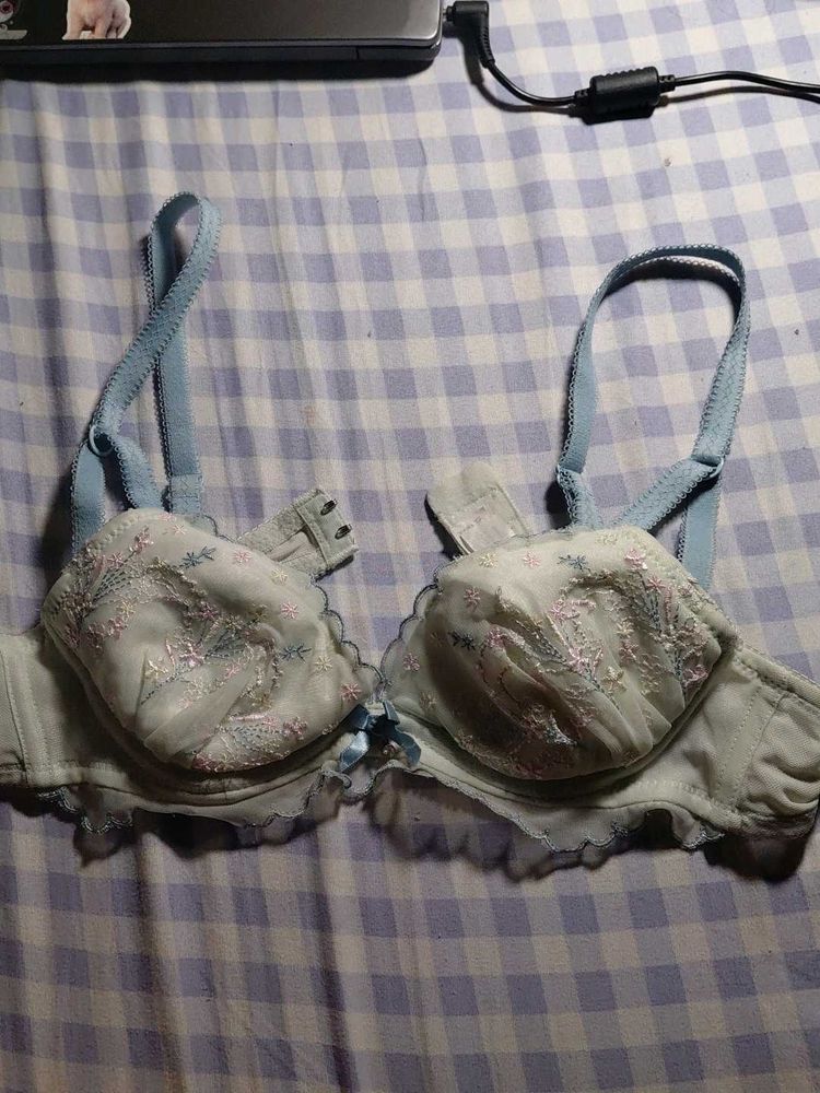 Sea Green Embroidered Bra