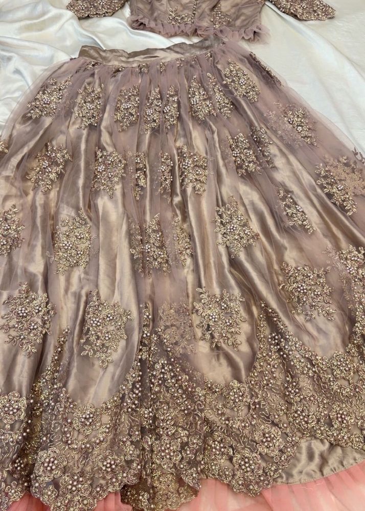 Exquisite Embroidered Lehenga and blouse