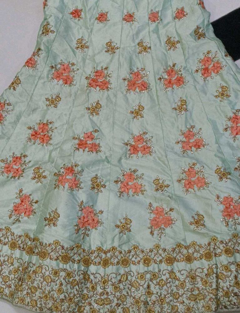 Beautiful Embroidered Lehenga Skirt