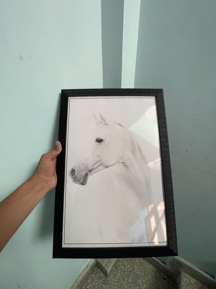 Luxury White Horse Wall Painting