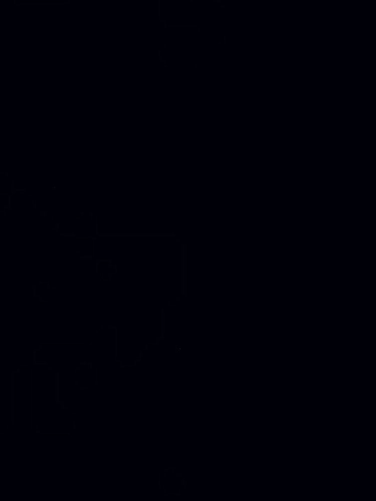Test S5