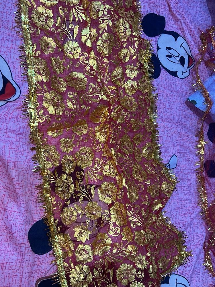 Elegant Embroidered Dupatta