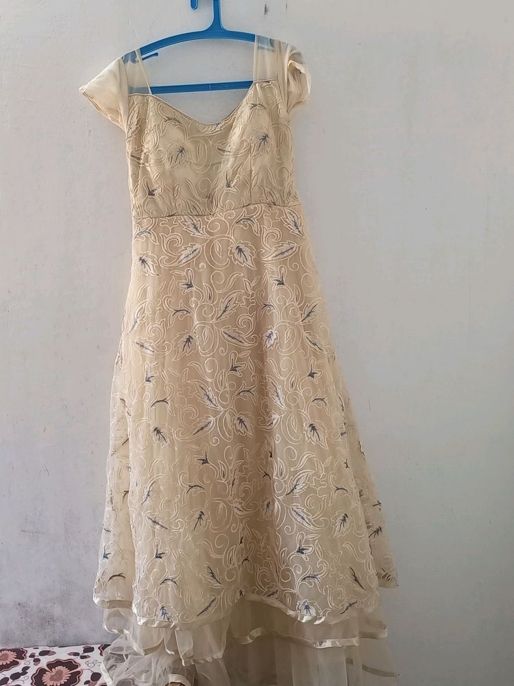 Elegant Embroidered Overlay Dress