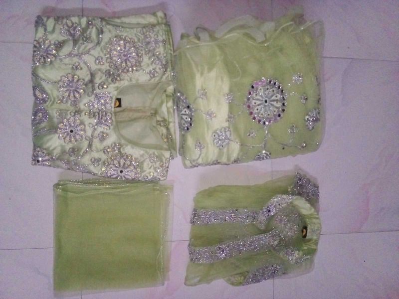 Elegant Pastel Green Lahenga Choli ..!!
