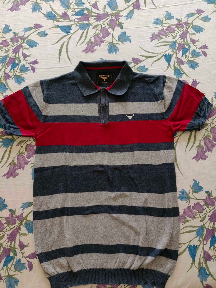 Men Striped Polo T-Shirt