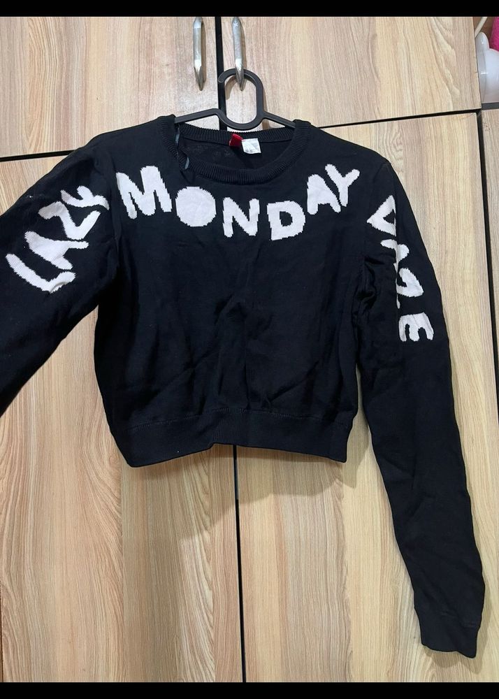 H&amp;M Cropped Sweater