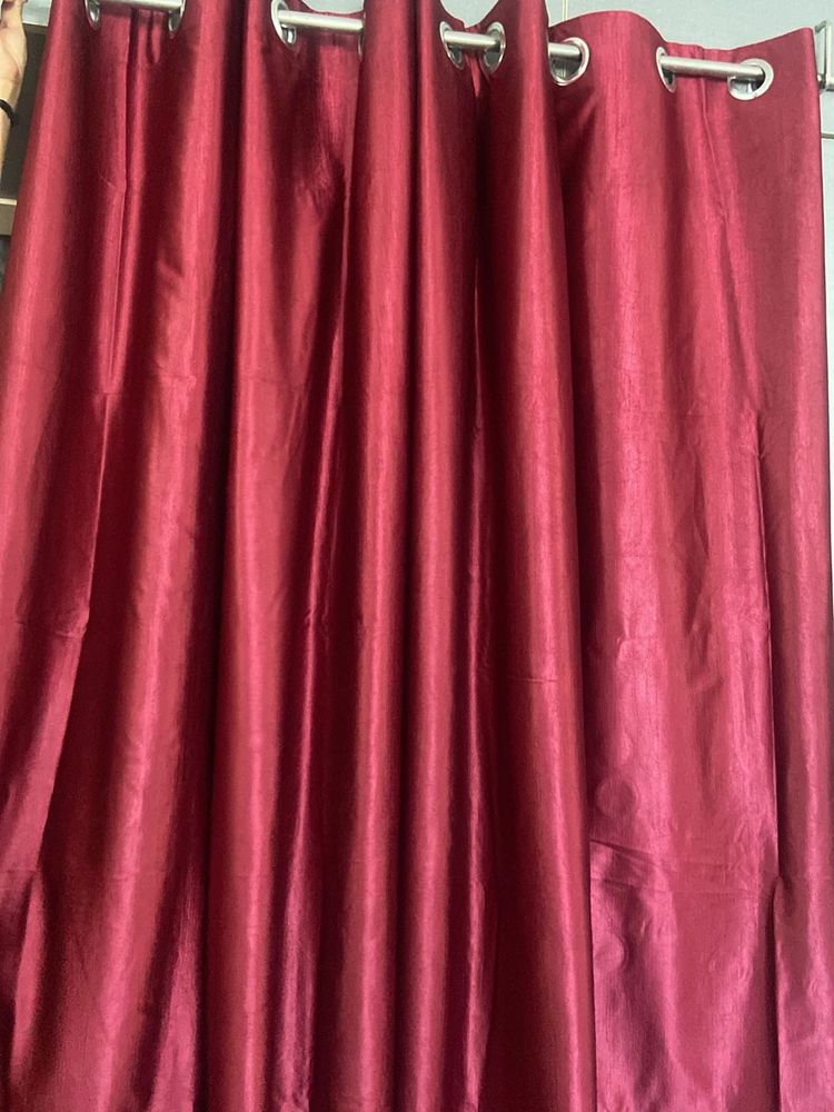 Wine Colour Curtain ( Set Of 2)