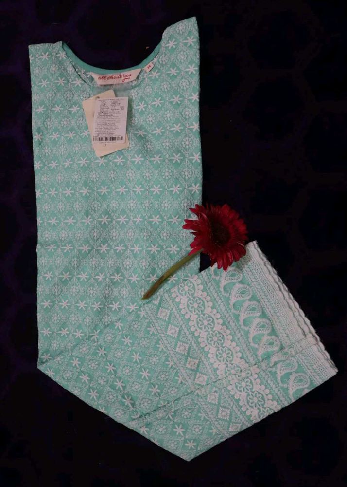 Elegant Mint Green Chikankari Kurta Set