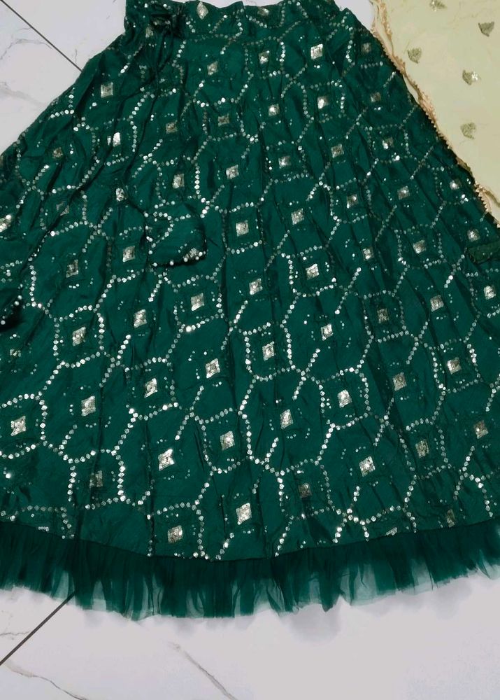 Green Embellished Lehenga Skirt
