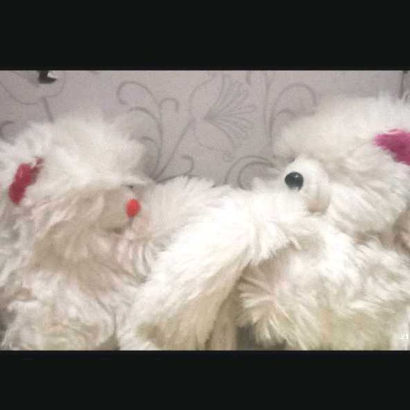 Cute White Fluffy Toy Set