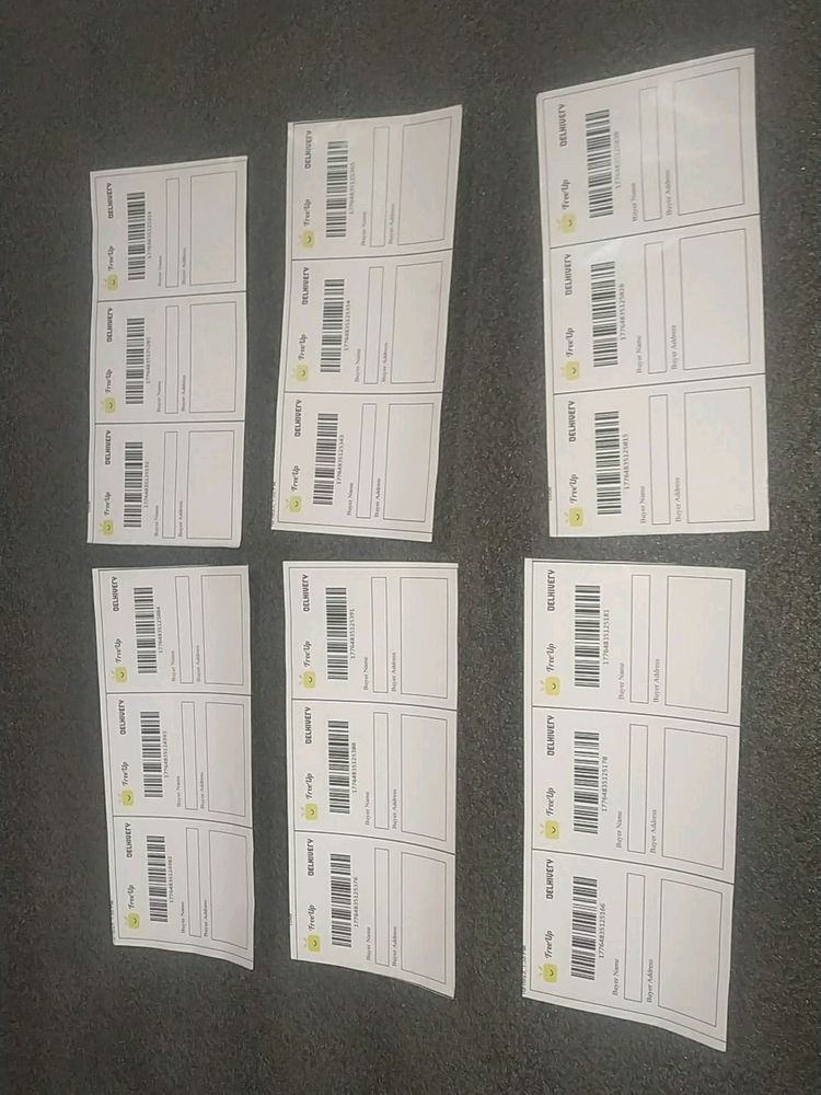 12 Lebels
