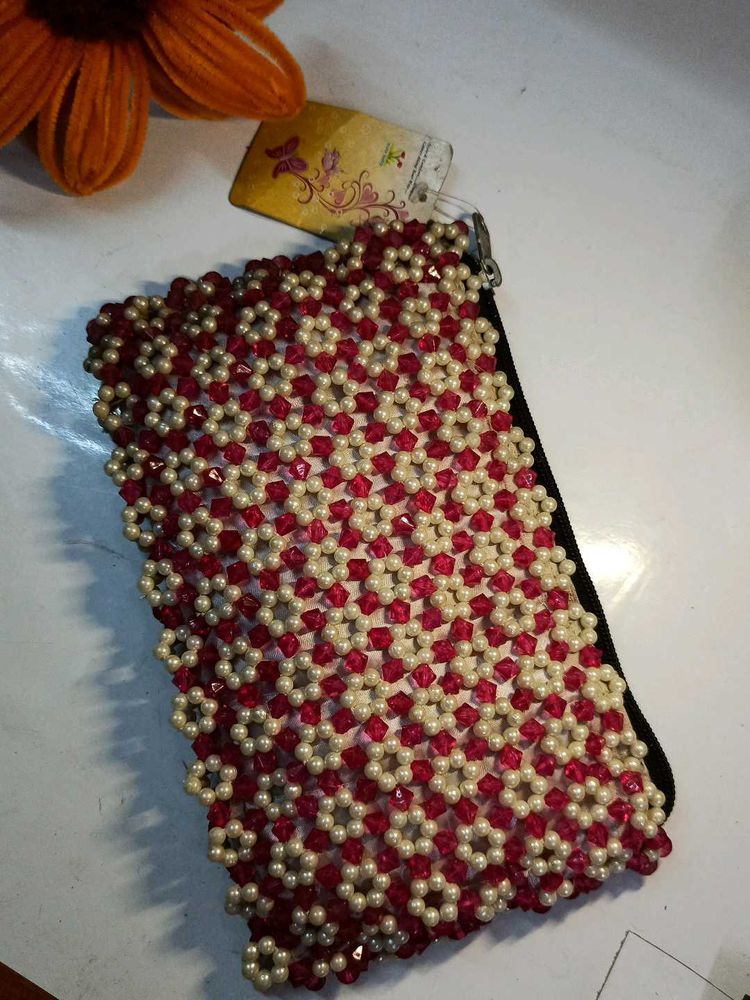 Exquisite Beaded Clutch/Pouch