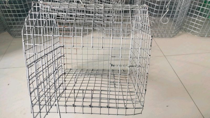 Parrot Cage ( Pijara)