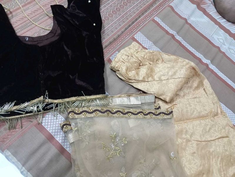 Eleganct lahanga choli