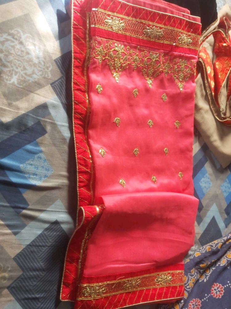 Beautiful Pink Saree with Gold Embroidery