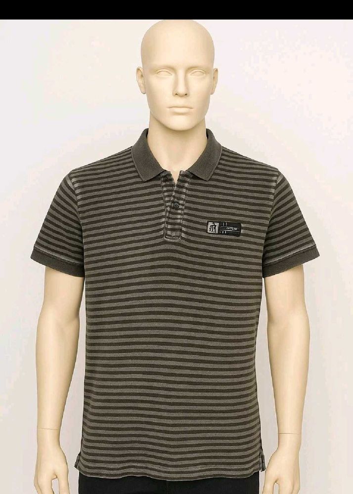 TURTLE T-shirt Chocolate Brown