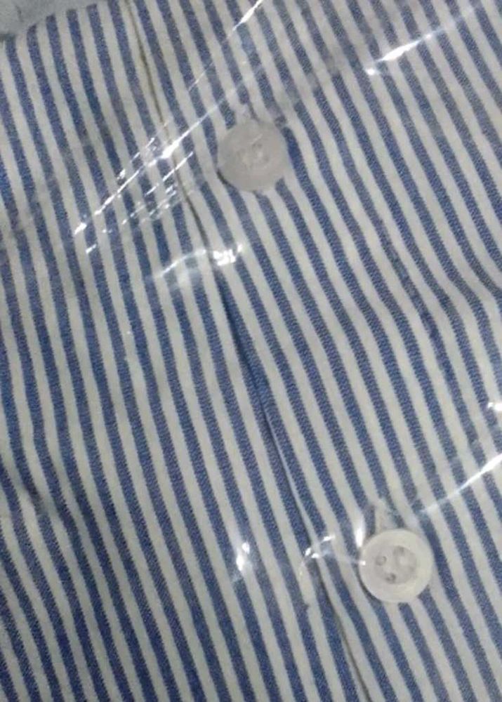 Classic Blue and White Striped Button-Down Shirt (
