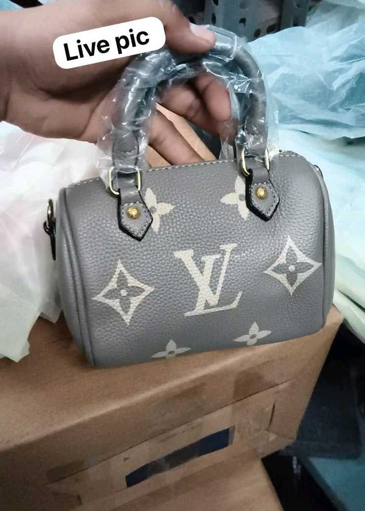 Louis Vuitton Speedy Bag