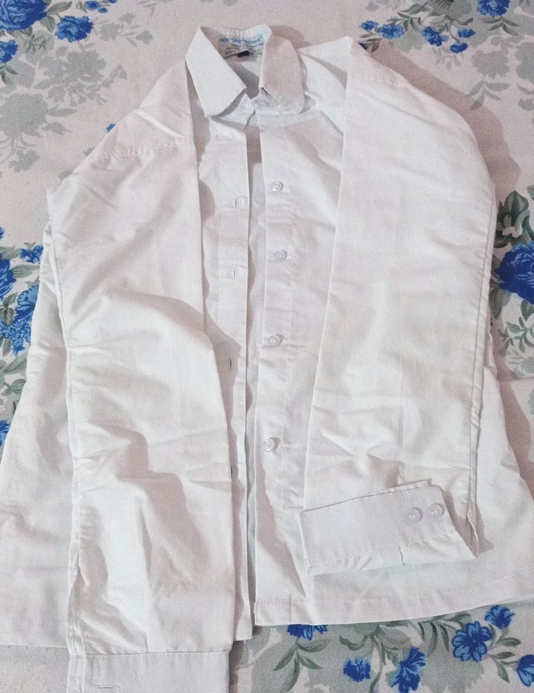 T- Shirt