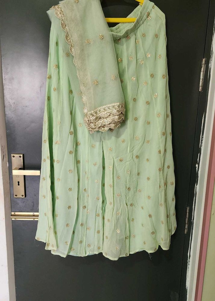 Mint Green Lehenga Choli with Gold Embellishments