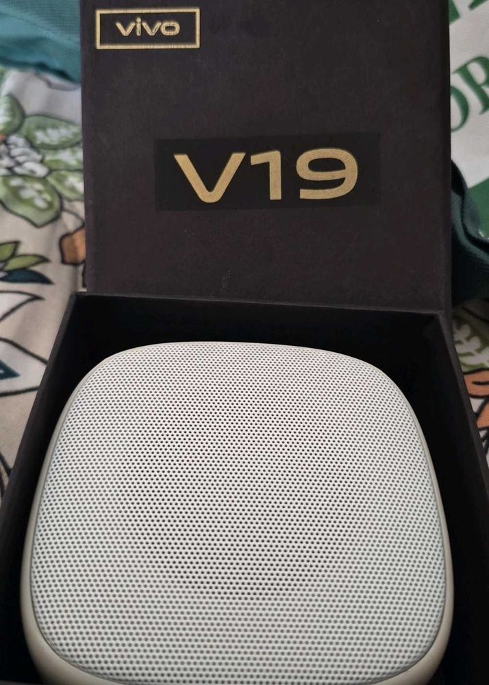 Vivo V19 Speaker Box