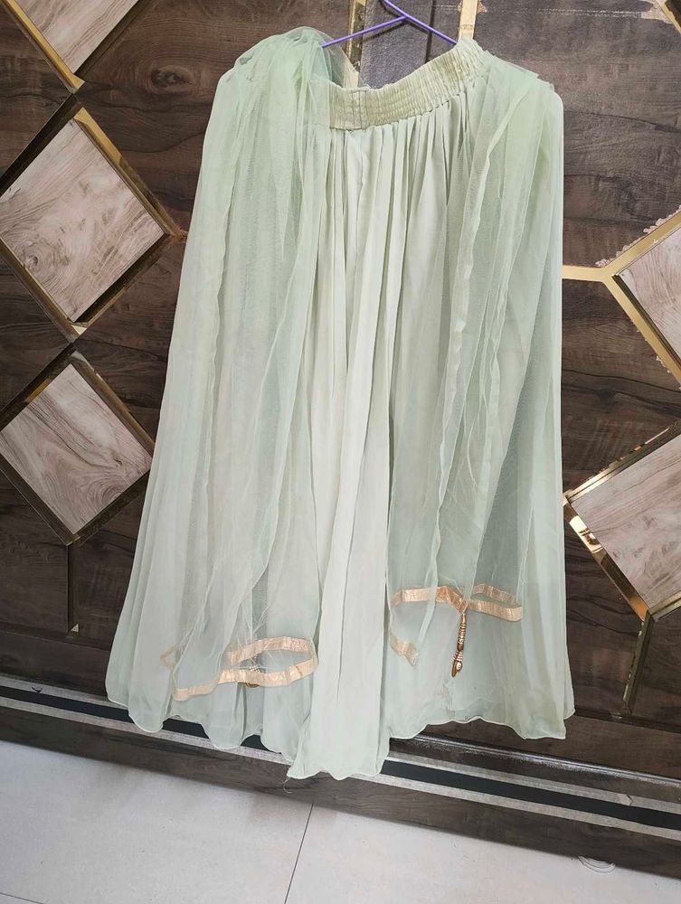 Elegant Light Green Ethnic sharara and chunni