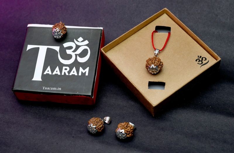 Sath mukhi Rudraksh