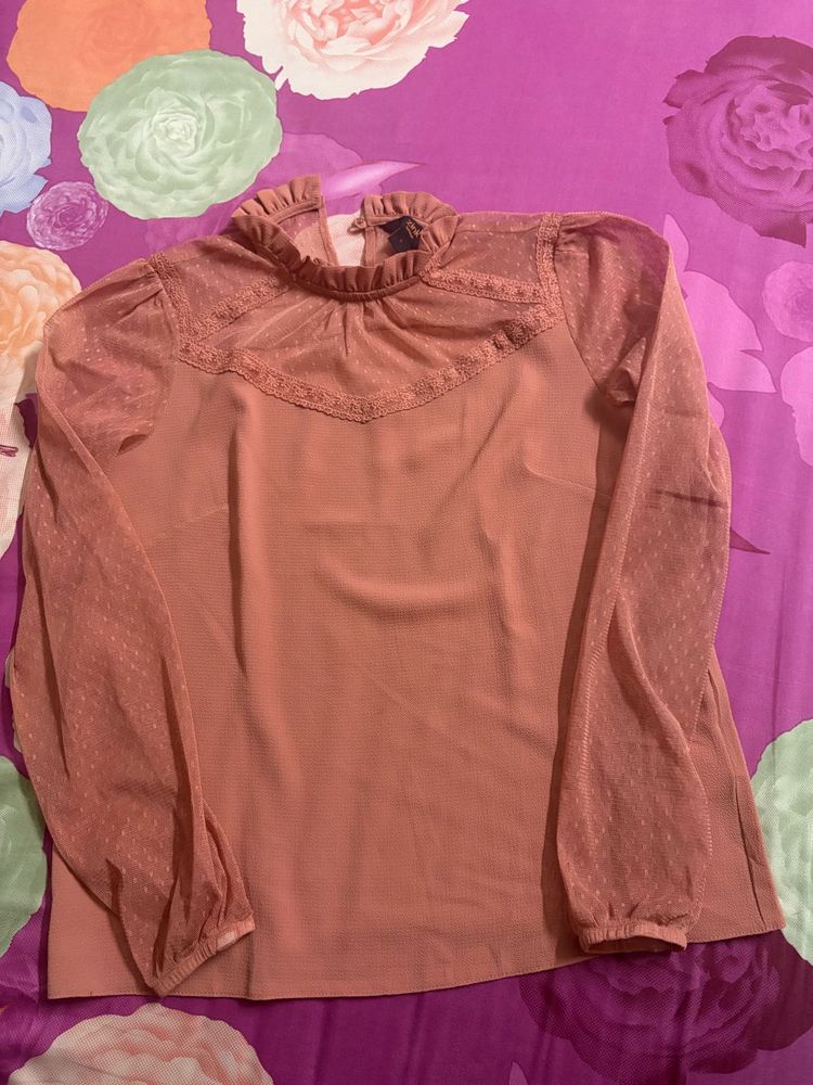 Zink Sheer Sleeve Ruffled Neck Top