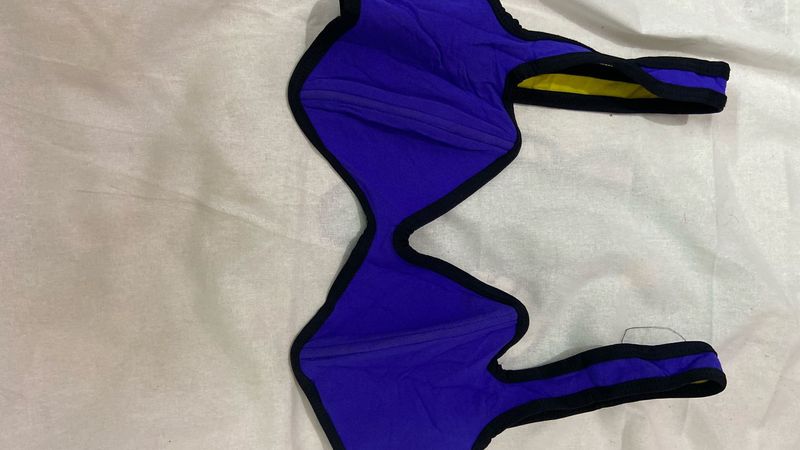 Vibrant Blue Sports Bra
