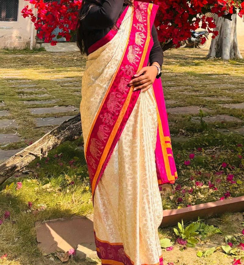 Elegant Ethnic Saree