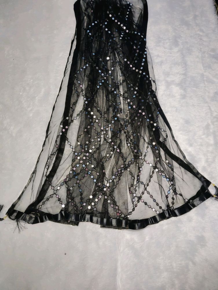 New Fancy Women Net Mirror Work Dupatta