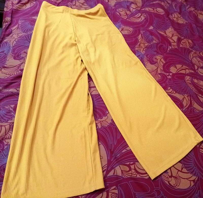 Go Colors RIB Plazzo