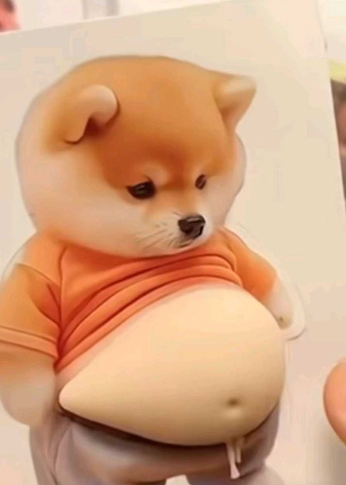 Funny Belly Puppy Showp(270 for 2 sticker)