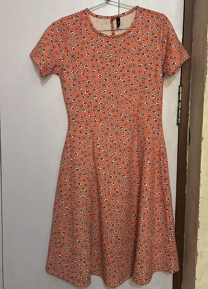 Floral Print Fit &amp; Flare Dress