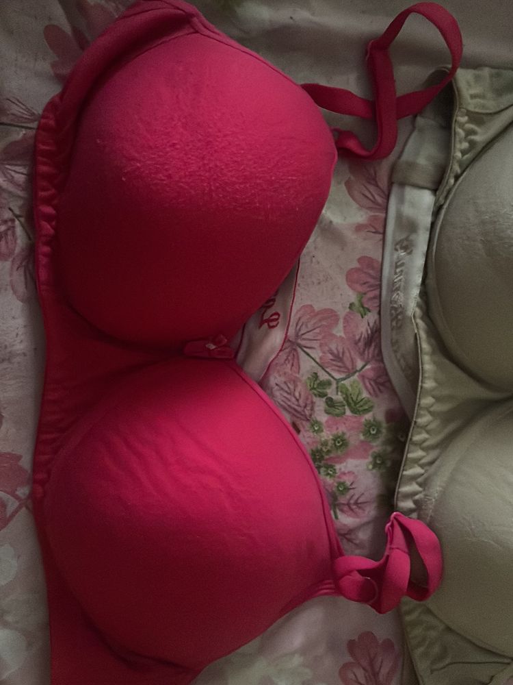 Lightly Padded Bra