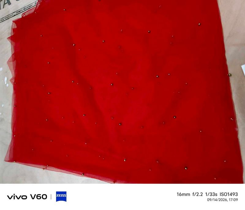 Stunning Red Embellished Net Dupatta