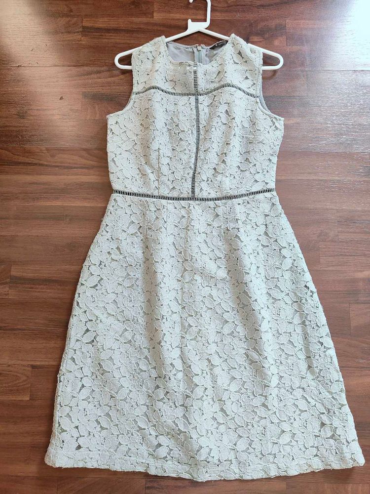 Elegant Lace Dress.