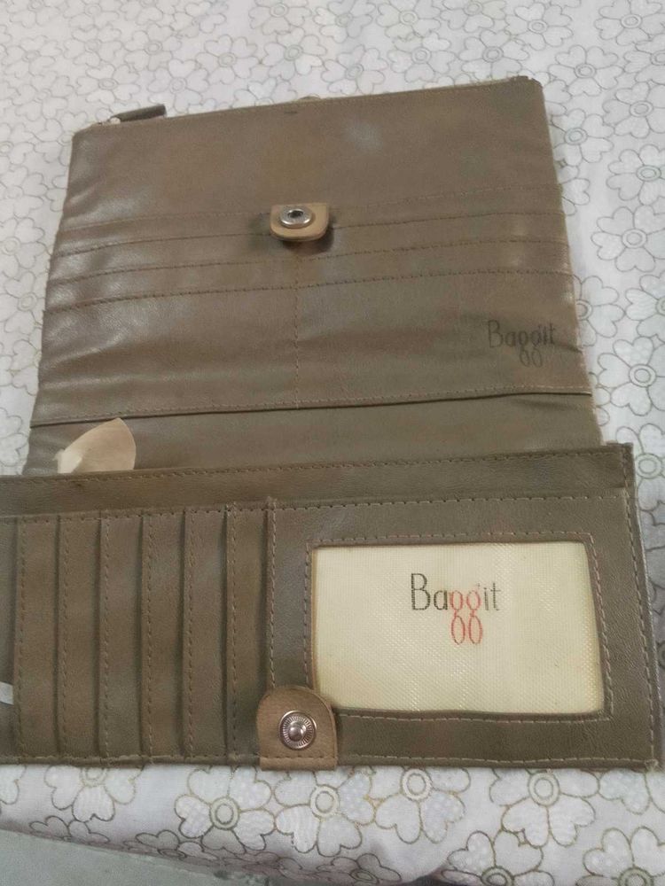 Baggit clutch