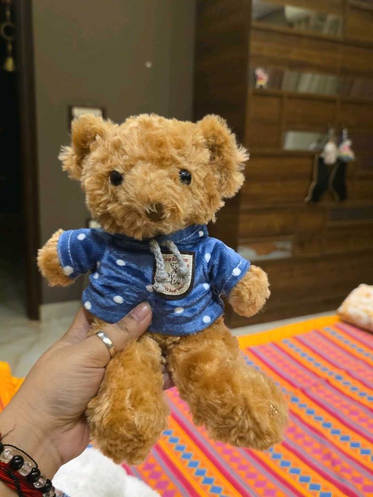 Cute Teddy Bear with Blue Polka Dot Hoodie