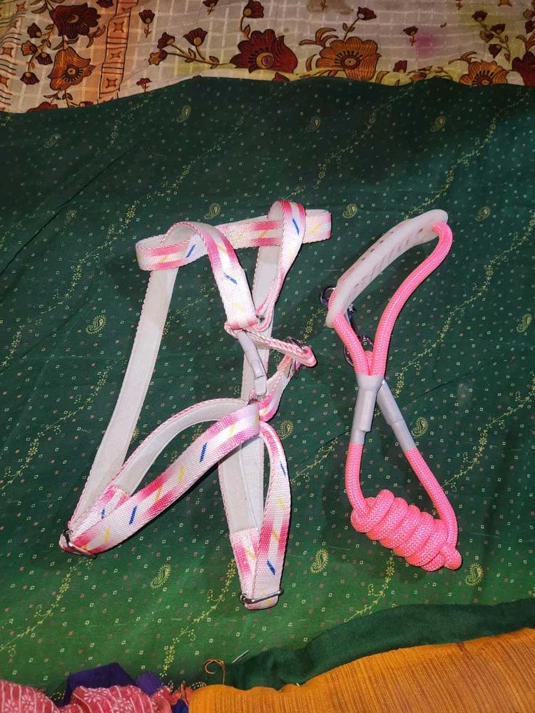 Dog Harness &amp; Leash Set